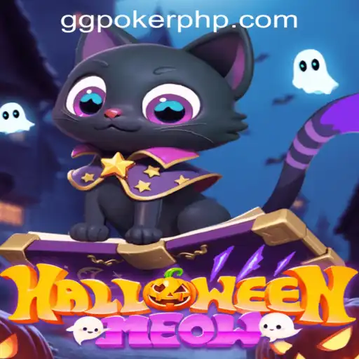 HalloweenMeow: A Spooky Adventure